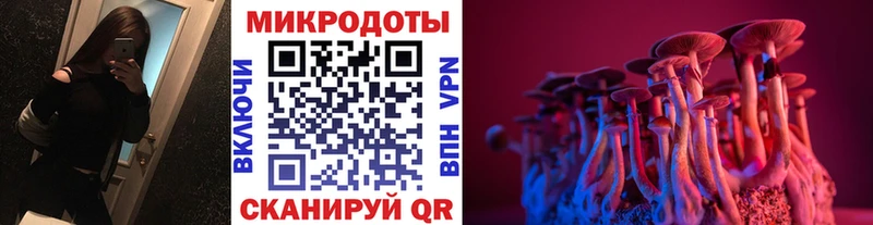 Галлюциногенные грибы Cubensis  Гаджиево 