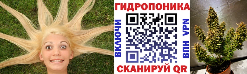 blacksprut ссылки  наркотики  Гаджиево  Бошки марихуана AK-47 